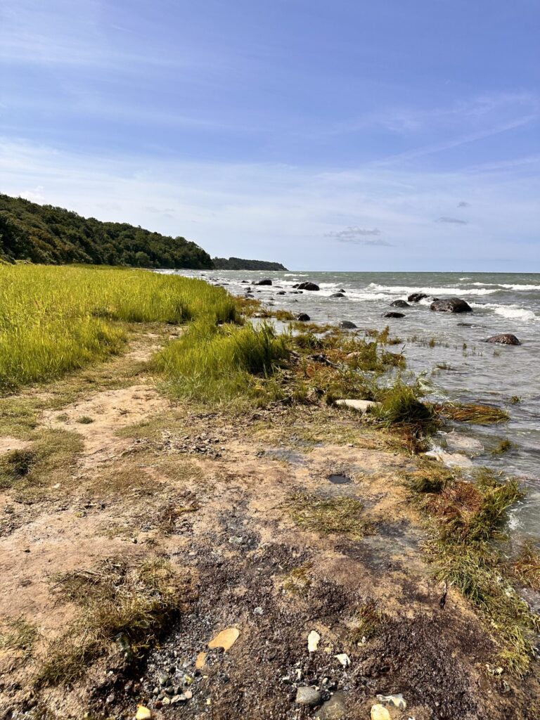 Viel Natur, viele Sehenswerte Orte oder einfach einen Strandtag an der Ostsee - Ferienhaus 4 Jahreszeiten
